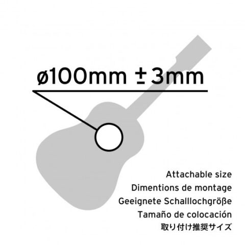 売りオンラインストア Perona クラシックギターTunerモデル675 アコースティックギター